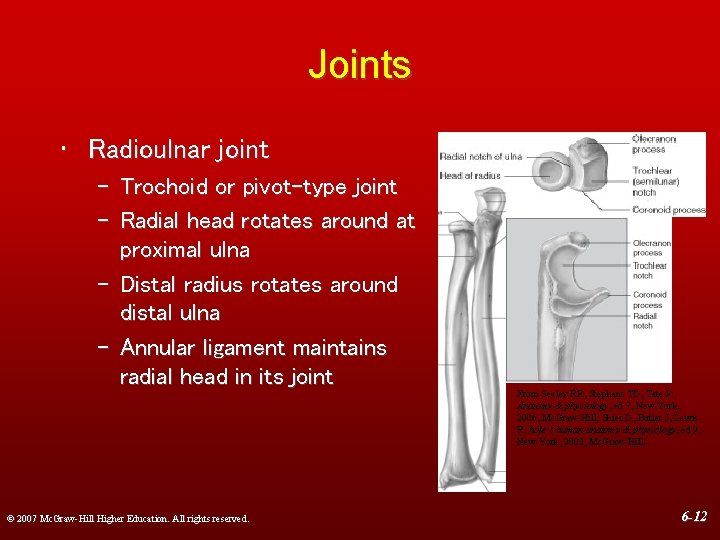 Joints • Radioulnar joint – Trochoid or pivot-type joint – Radial head rotates around