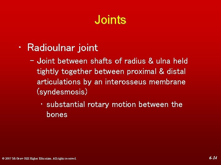 Joints • Radioulnar joint – Joint between shafts of radius & ulna held tightly
