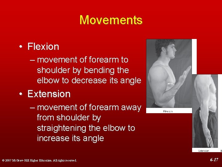 Movements • Flexion – movement of forearm to shoulder by bending the elbow to