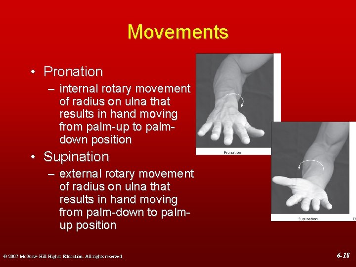 Movements • Pronation – internal rotary movement of radius on ulna that results in