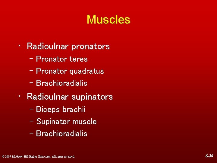 Muscles • Radioulnar pronators – Pronator teres – Pronator quadratus – Brachioradialis • Radioulnar