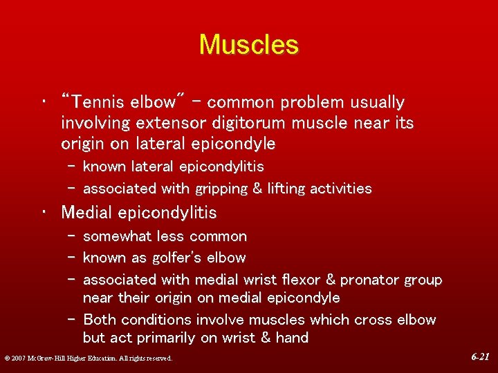 Muscles • “Tennis elbow" - common problem usually involving extensor digitorum muscle near its