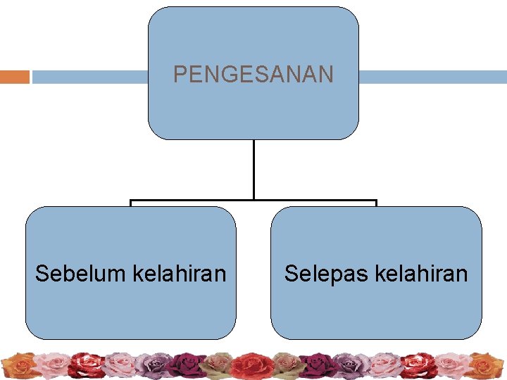 PENGESANAN Sebelum kelahiran Selepas kelahiran 