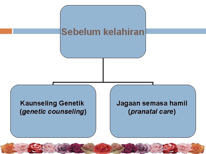 Sebelum kelahiran Kaunseling Genetik (genetic counseling) Jagaan semasa hamil (pranatal care) 