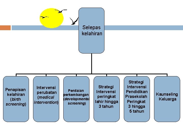 Selepas kelahiran Penapisan kelahiran (birth screening) Intervensi perubatan (medical intervention) Penilaian perkembangan (developmental screening)