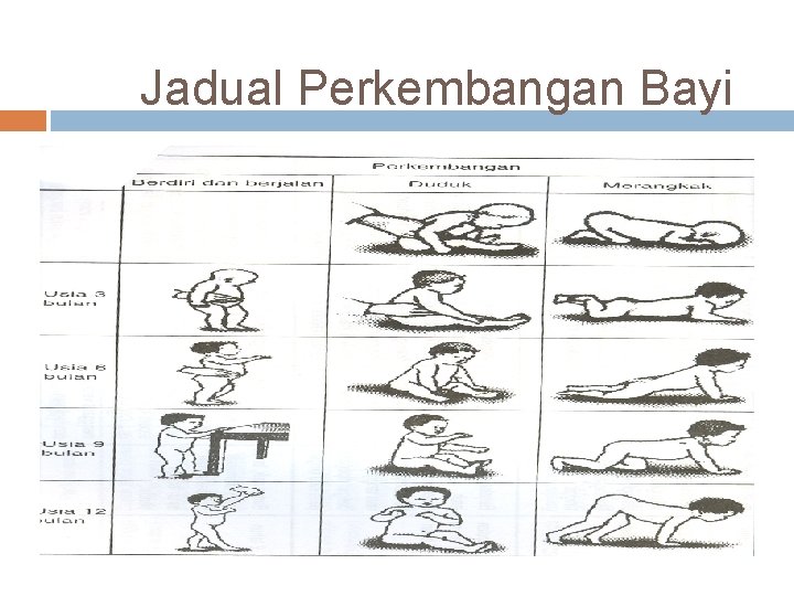 Jadual Perkembangan Bayi 