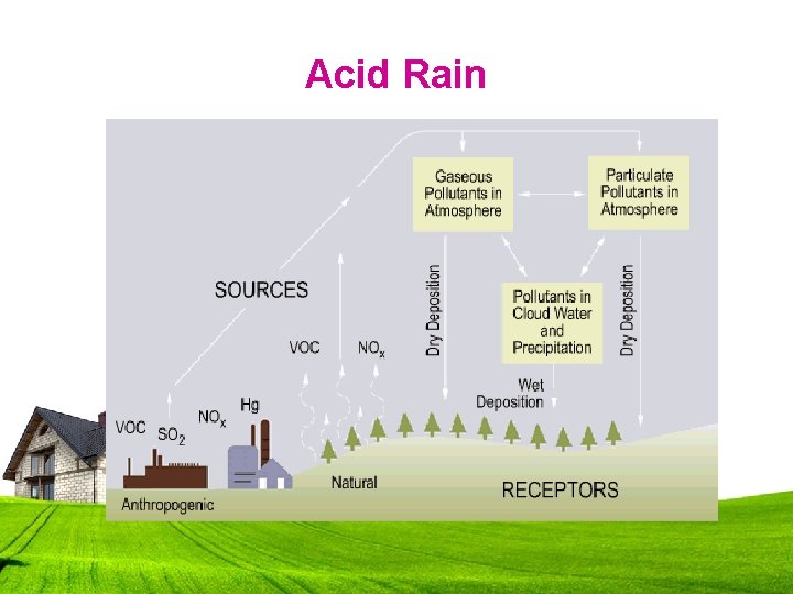 Acid Rain 