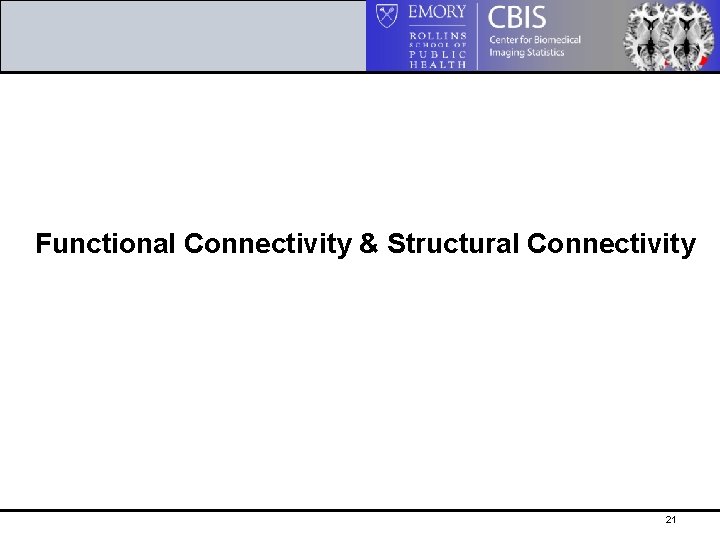 Functional Connectivity & Structural Connectivity 21 