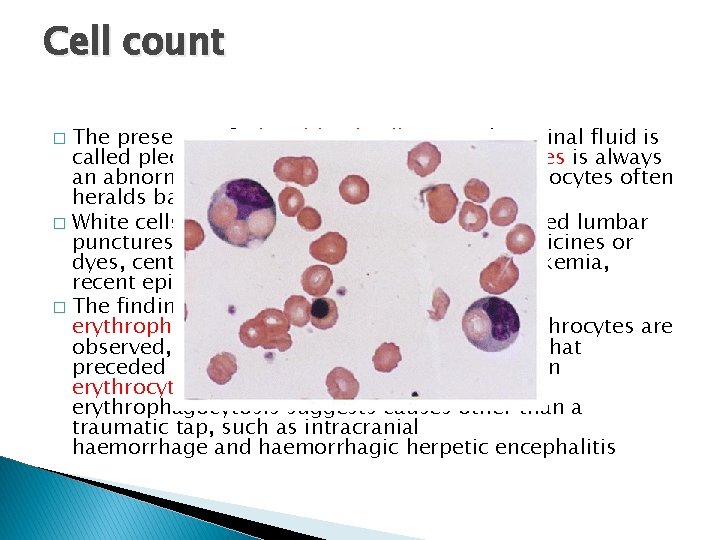 Cell count The presence of white blood cells in cerebrospinal fluid is called pleocytosis.