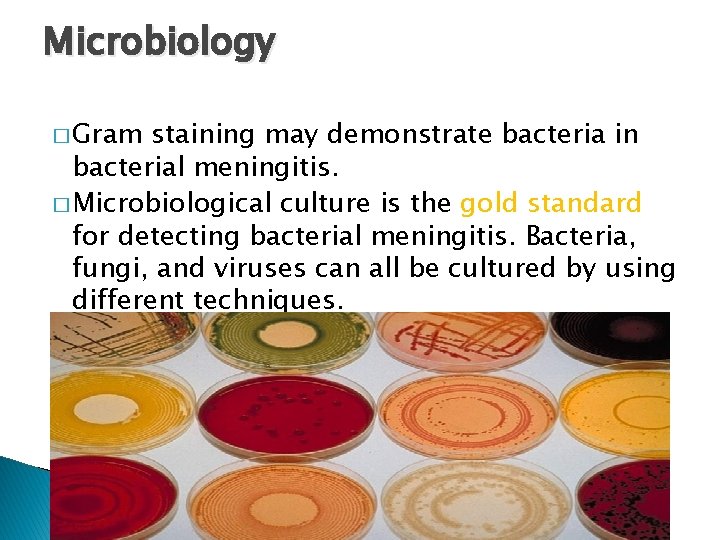 Microbiology � Gram staining may demonstrate bacteria in bacterial meningitis. � Microbiological culture is