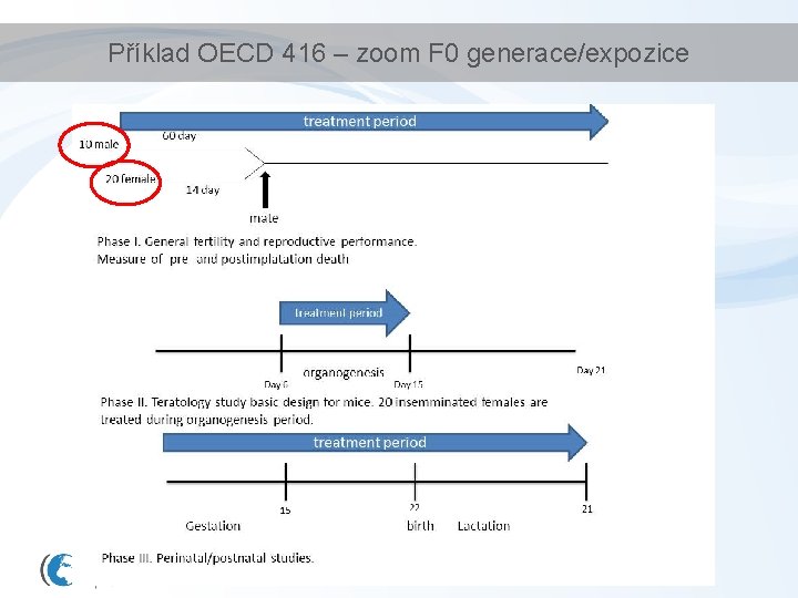 Příklad OECD 416 – zoom F 0 generace/expozice 