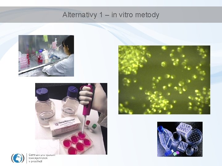 Alternativy 1 – in vitro metody 