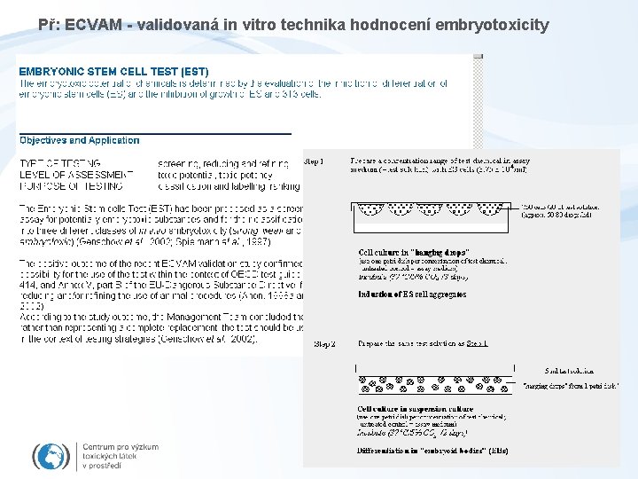Př: ECVAM - validovaná in vitro technika hodnocení embryotoxicity 