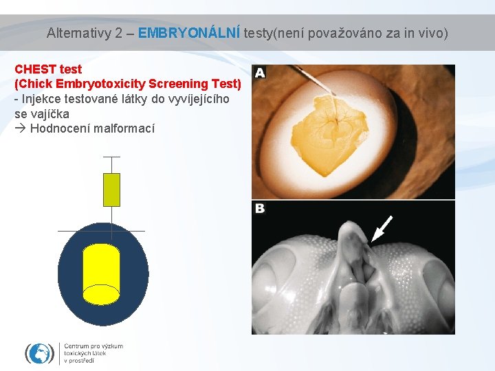 Alternativy 2 – EMBRYONÁLNÍ testy(není považováno za in vivo) CHEST test (Chick Embryotoxicity Screening