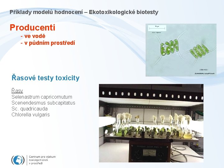 Příklady modelů hodnocení – Ekotoxikologické biotesty Producenti - ve vodě - v půdním prostředí