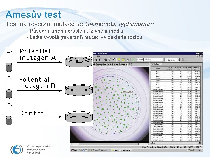 Amesův test Test na reverzní mutace se Salmonella typhimurium - Původní kmen neroste na