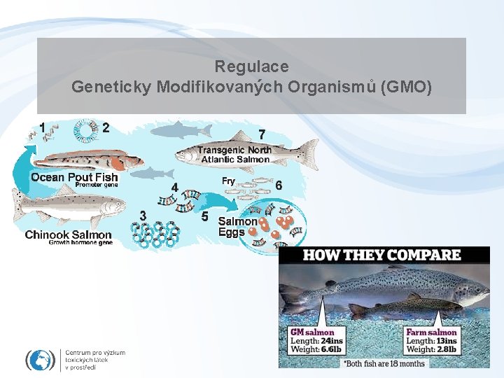 Regulace Geneticky Modifikovaných Organismů (GMO) 