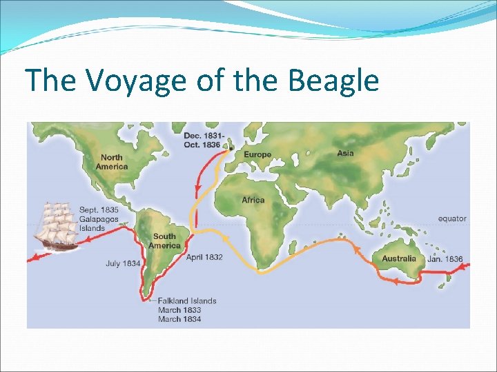 The Voyage of the Beagle 