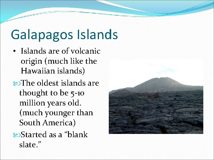 Galapagos Islands • Islands are of volcanic origin (much like the Hawaiian islands) The