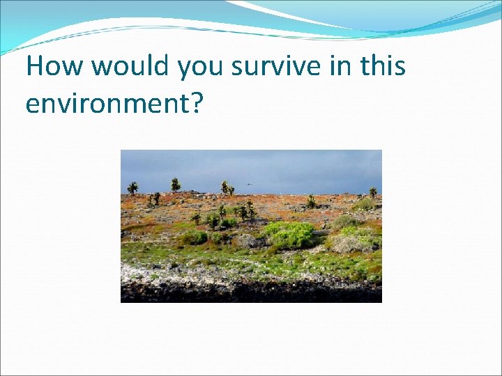 How would you survive in this environment? 