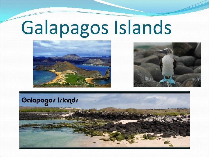 Galapagos Islands 