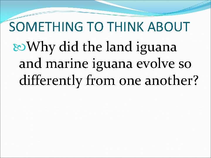 SOMETHING TO THINK ABOUT Why did the land iguana and marine iguana evolve so