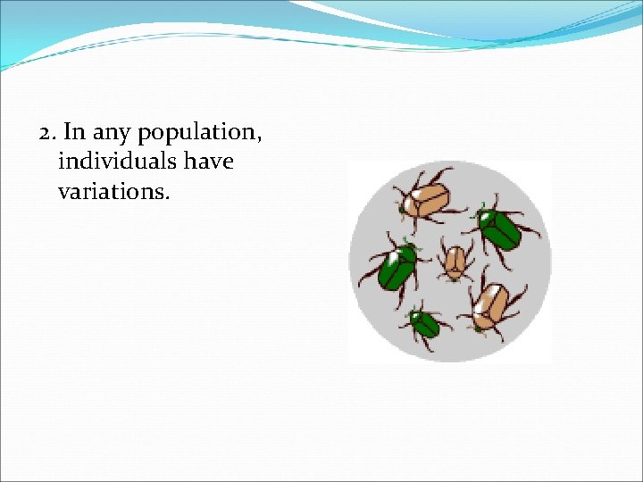 2. In any population, individuals have variations. 