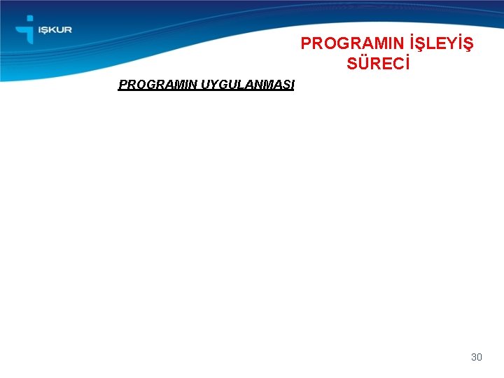 PROGRAMIN İŞLEYİŞ SÜRECİ PROGRAMIN UYGULANMASI 30 