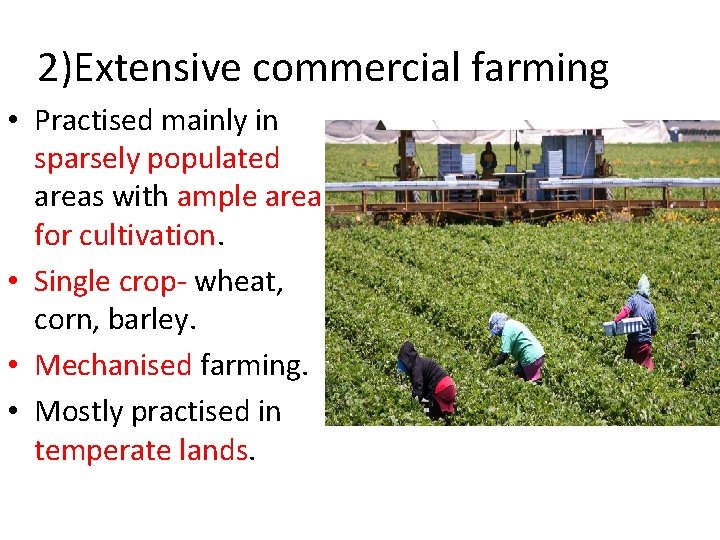 2)Extensive commercial farming • Practised mainly in sparsely populated areas with ample area for