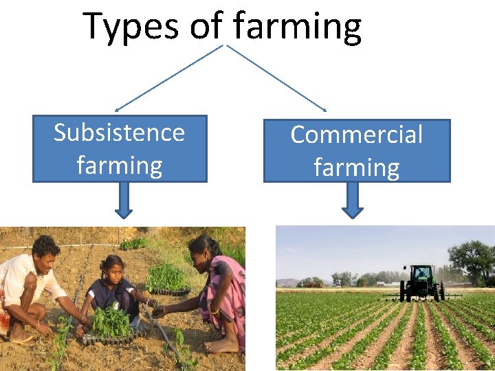 Types of farming Subsistence farming Commercial farming 