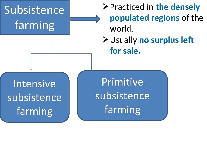 Subsistence farming Intensive subsistence farming Ø Practiced in the densely populated regions of the