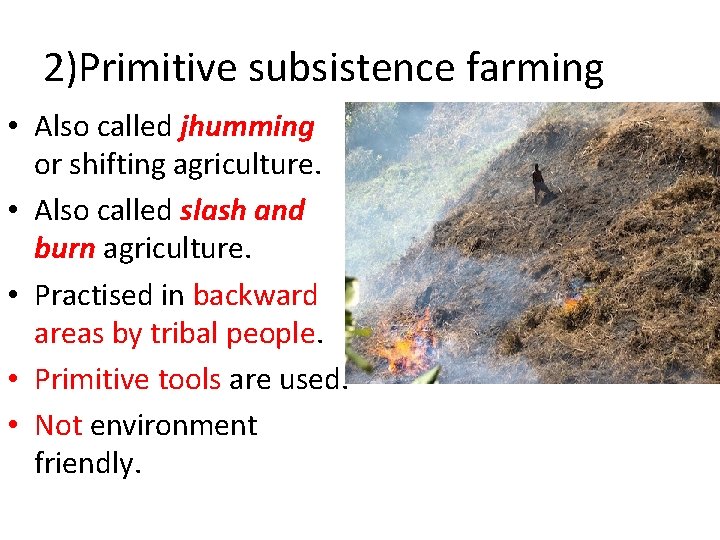 2)Primitive subsistence farming • Also called jhumming or shifting agriculture. • Also called slash