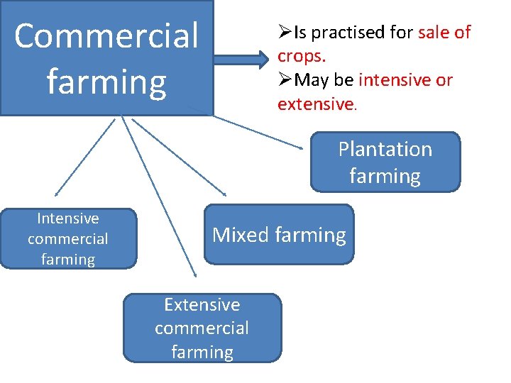 Commercial farming ØIs practised for sale of crops. ØMay be intensive or extensive. Plantation