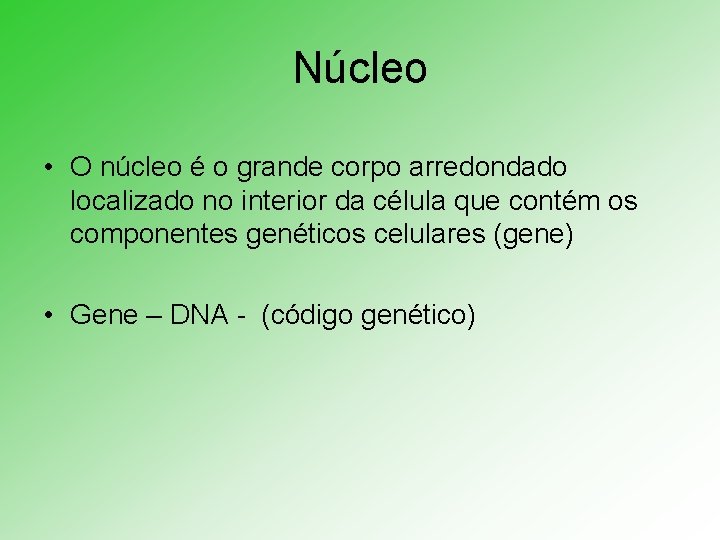 Núcleo • O núcleo é o grande corpo arredondado localizado no interior da célula