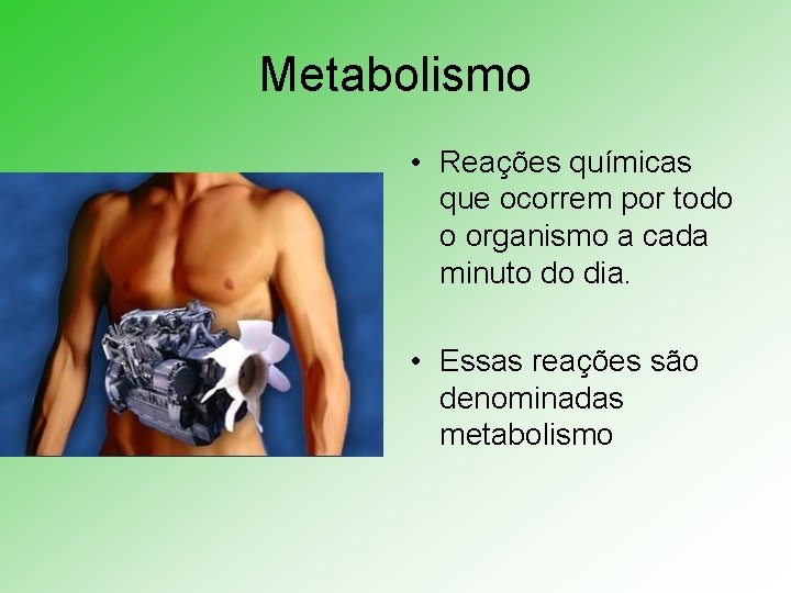 Metabolismo • Reações químicas que ocorrem por todo o organismo a cada minuto do