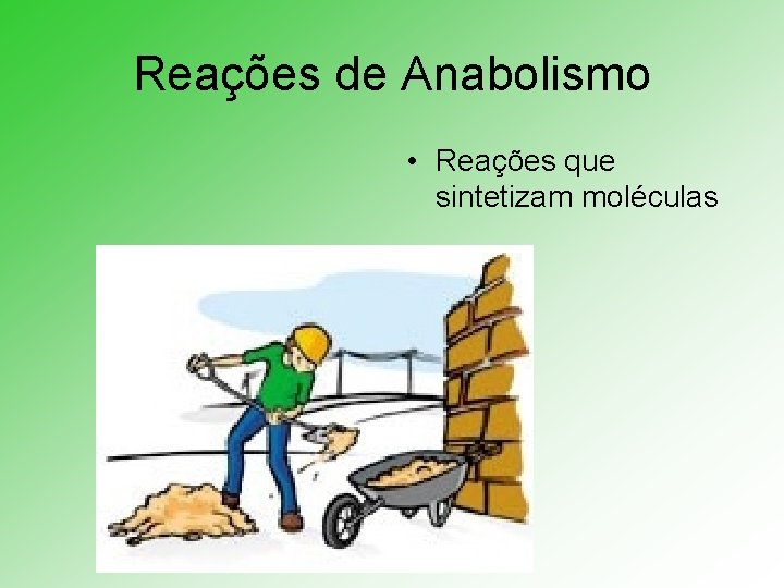 Reações de Anabolismo • Reações que sintetizam moléculas 