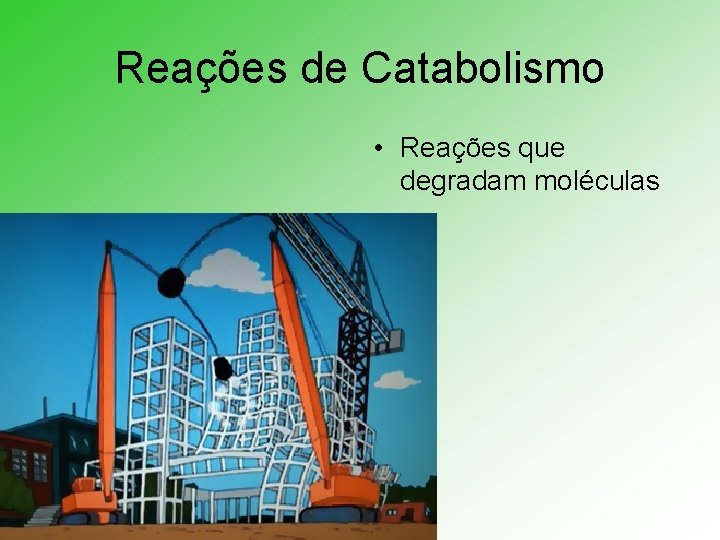 Reações de Catabolismo • Reações que degradam moléculas 