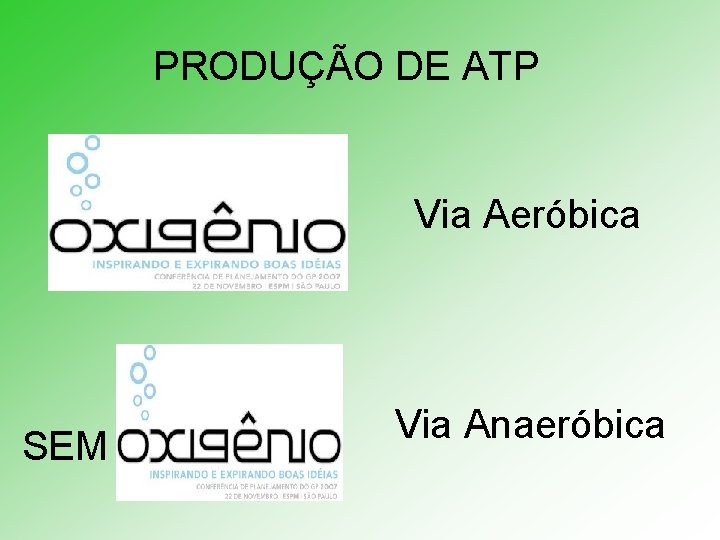 PRODUÇÃO DE ATP Via Aeróbica SEM Via Anaeróbica 