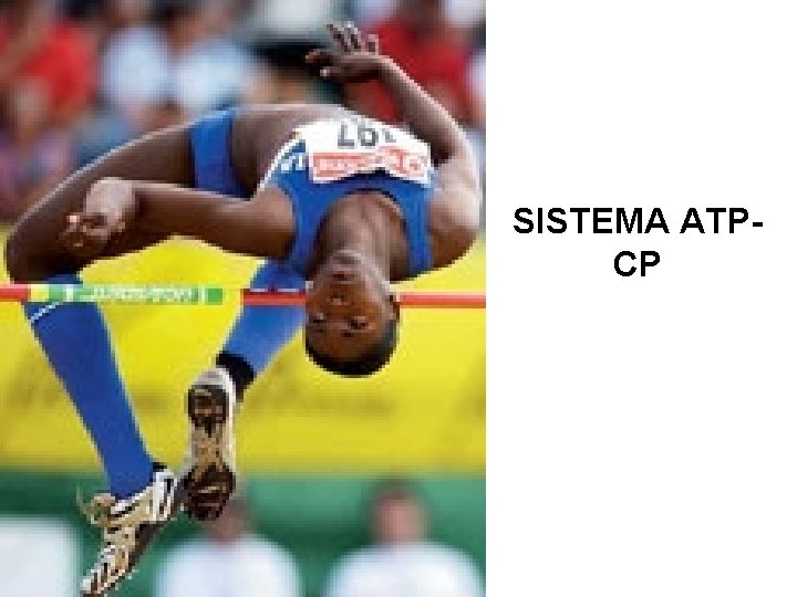 SISTEMA ATPCP 