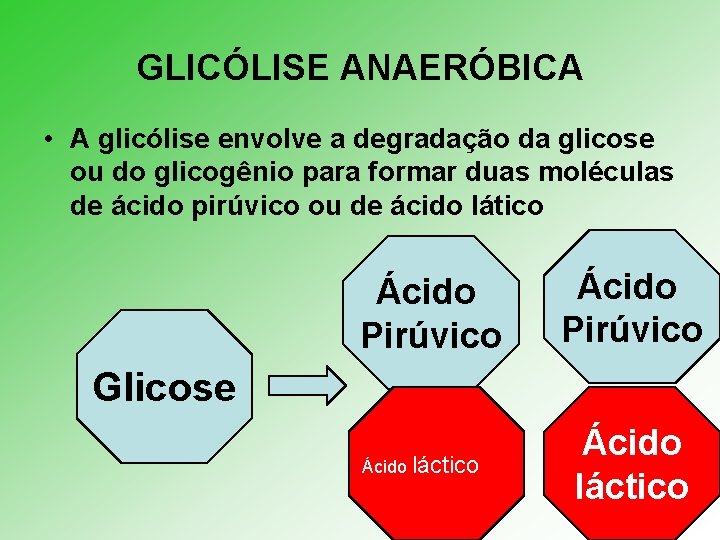 GLICÓLISE ANAERÓBICA • A glicólise envolve a degradação da glicose ou do glicogênio para
