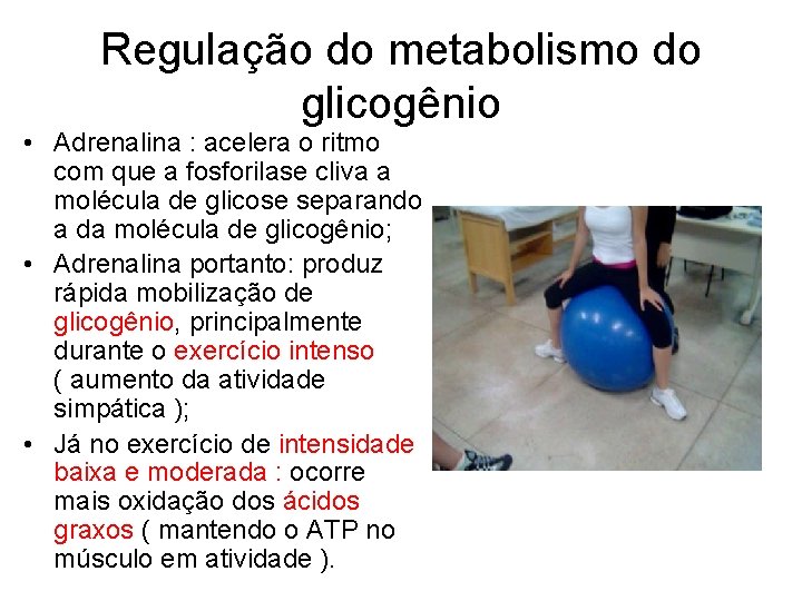 Regulação do metabolismo do glicogênio • Adrenalina : acelera o ritmo com que a