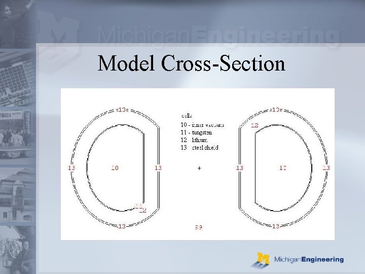 Model Cross-Section 