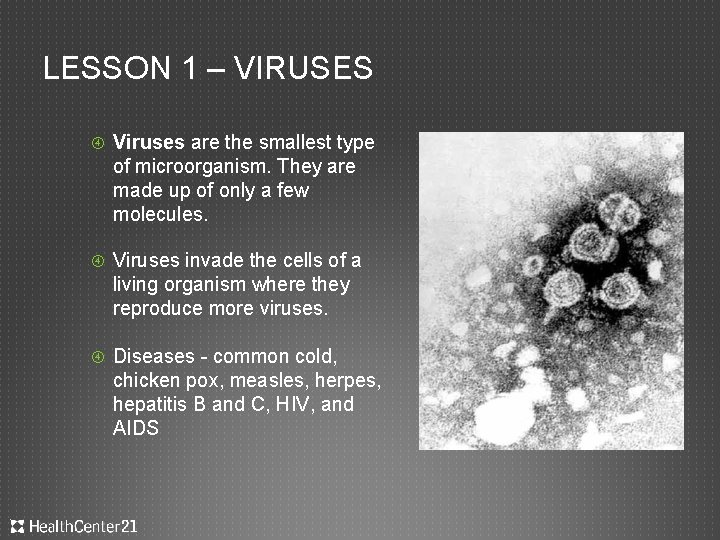 LESSON 1 – VIRUSES Viruses are the smallest type of microorganism. They are made