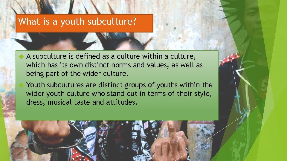 What is a youth subculture? A subculture is defined as a culture within a