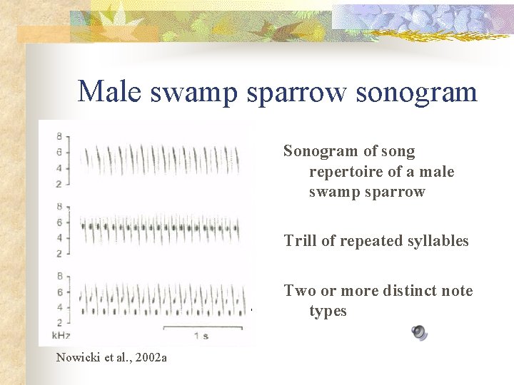 Male swamp sparrow sonogram Sonogram of song repertoire of a male swamp sparrow Trill