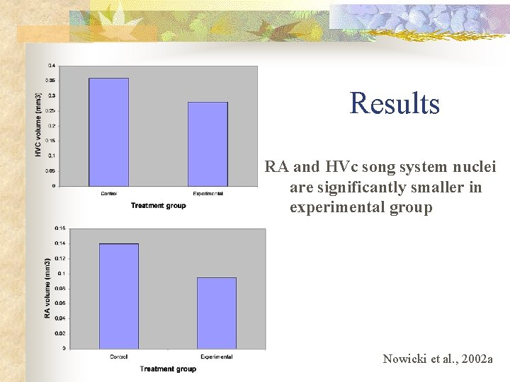 Results RA and HVc song system nuclei are significantly smaller in experimental group Nowicki