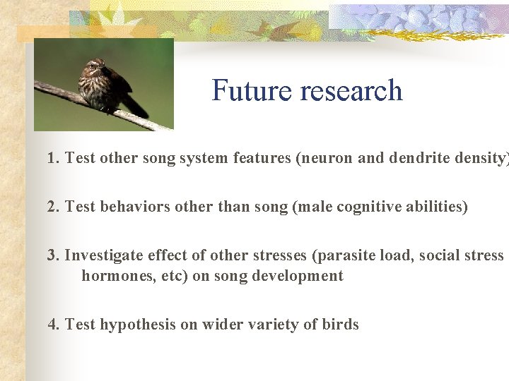 Future research 1. Test other song system features (neuron and dendrite density) 2. Test