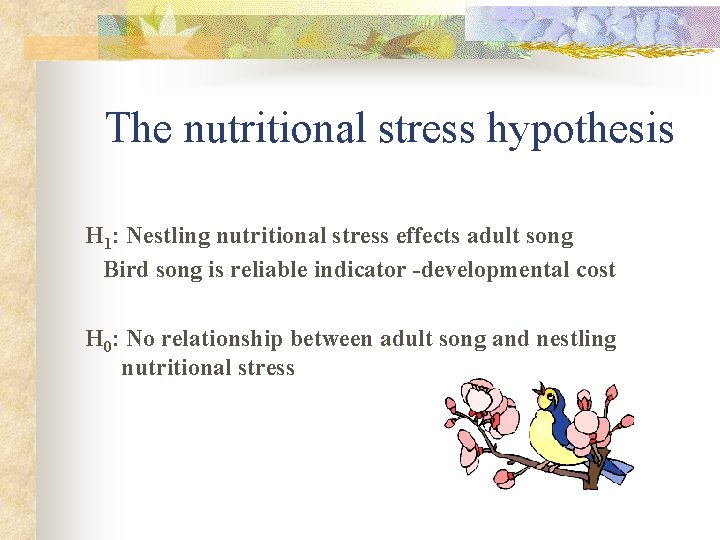 The nutritional stress hypothesis H 1: Nestling nutritional stress effects adult song Bird song