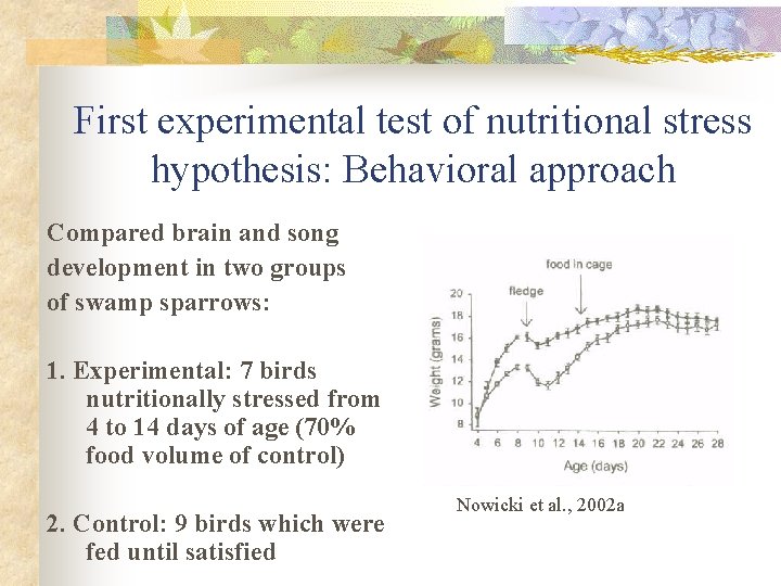 First experimental test of nutritional stress hypothesis: Behavioral approach Compared brain and song development
