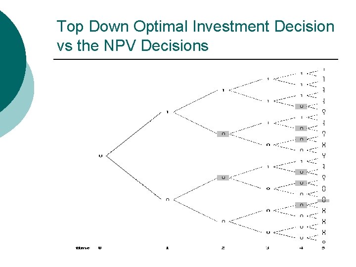Top Down Optimal Investment Decision vs the NPV Decisions 